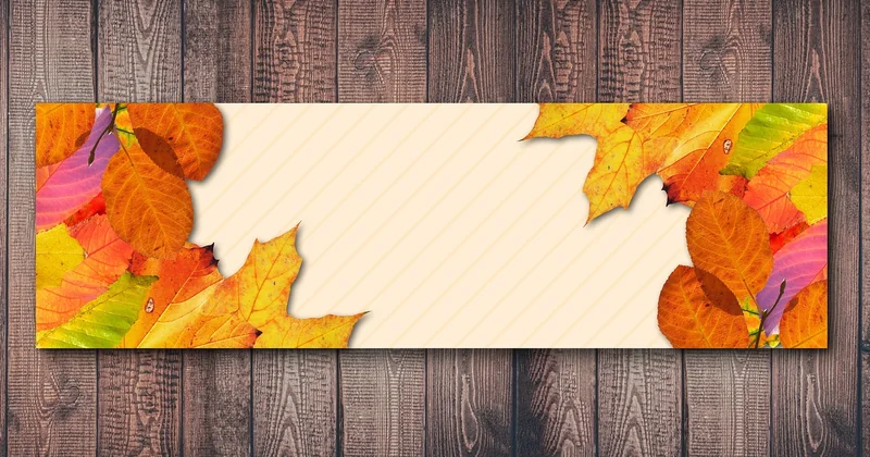 Quel est le prix d'une carte MasterCard dual ?