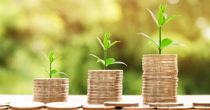 Salaire fixe, part variable : la double casquette du PDG