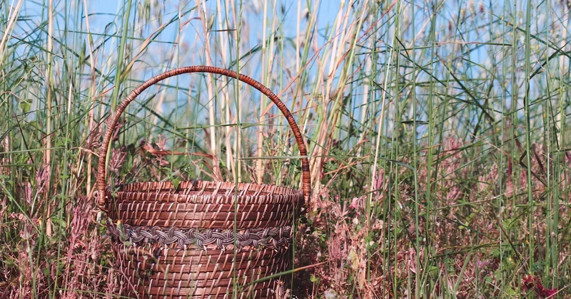 Enseigne et développement durable : les matériaux éco-responsables gagnent du terrain