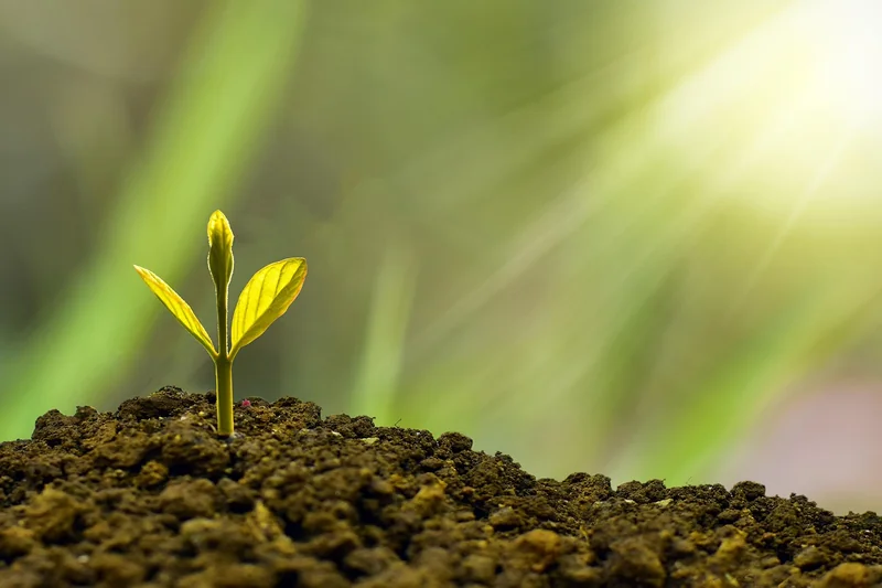 Comprendre le prlv sepa asp en 2026 : simplifiez vos transactions financières